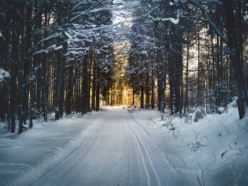 8 Winterfietsroutes In Nederland